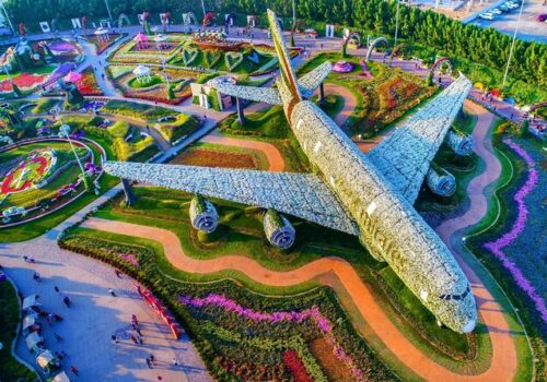 Dubai Miracle Garden Tour