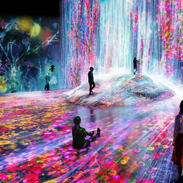 TeamLab Phenomena Abu Dhabi Ticket