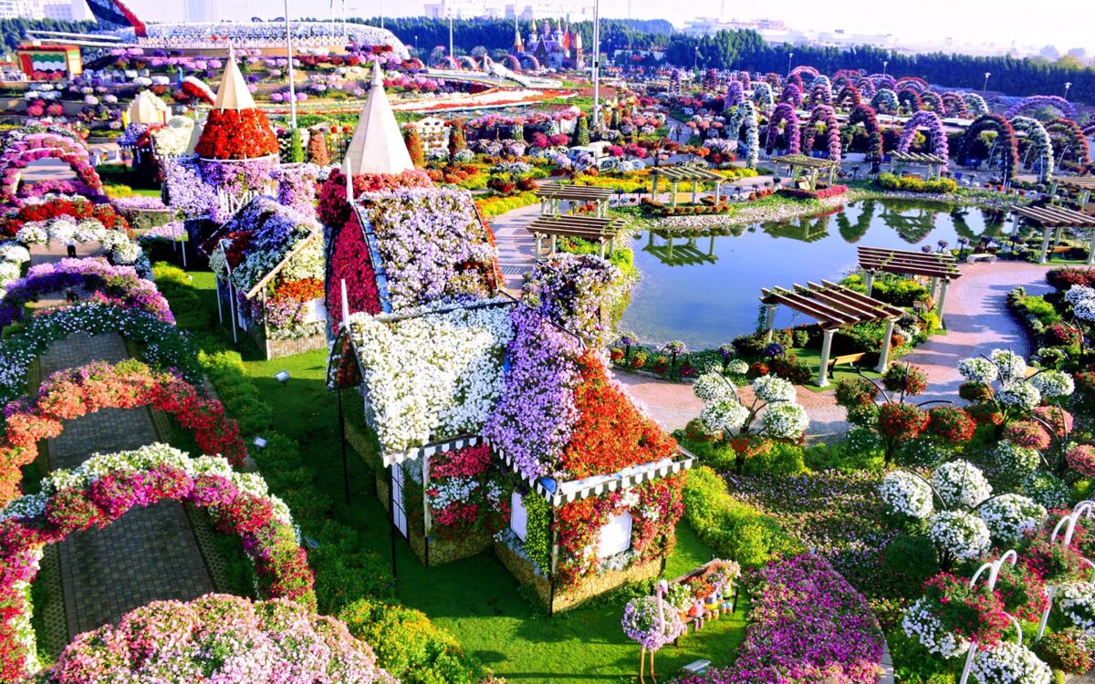 Dubai Miracle Garden Ticket with Transfer