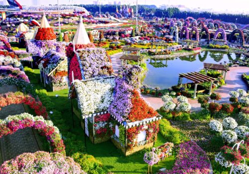 Dubai Miracle Garden Ticket with Transfer