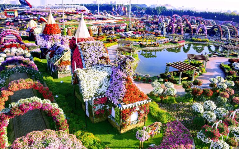 Dubai Miracle Garden Ticket with Transfer